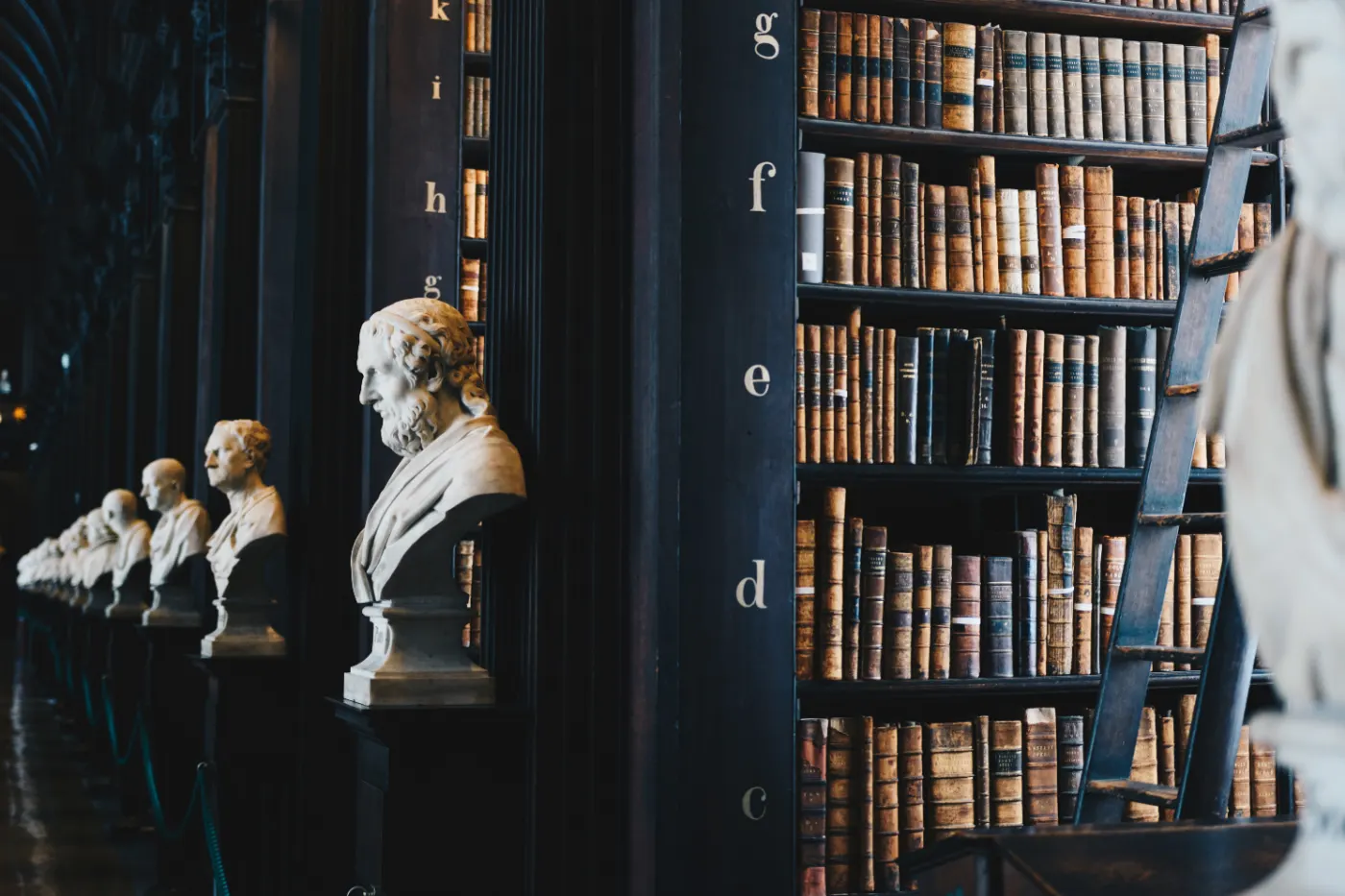 Una sala de lectura tranquila con estanterías de libros